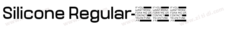 Silicone Regular字体转换